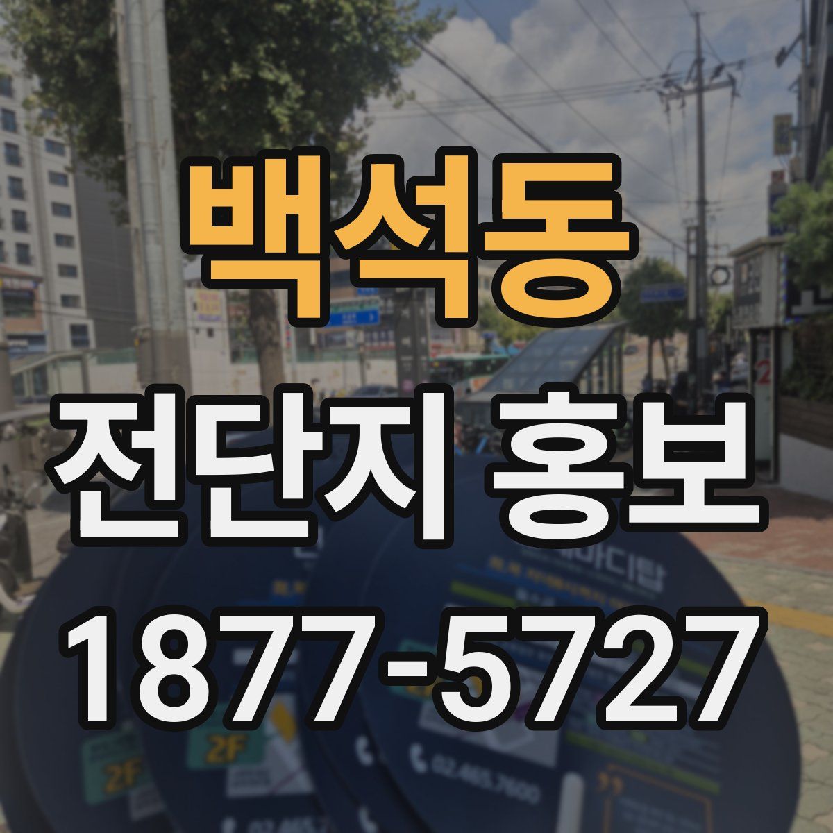 백석동 전단지 홍보