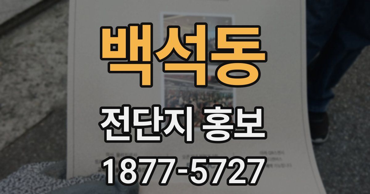 백석동 전단지 홍보