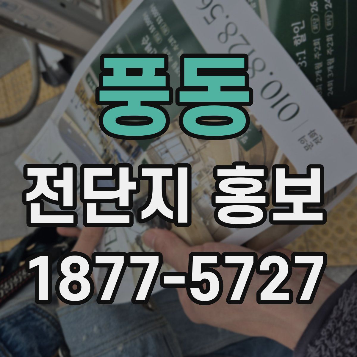 풍동 전단지 홍보