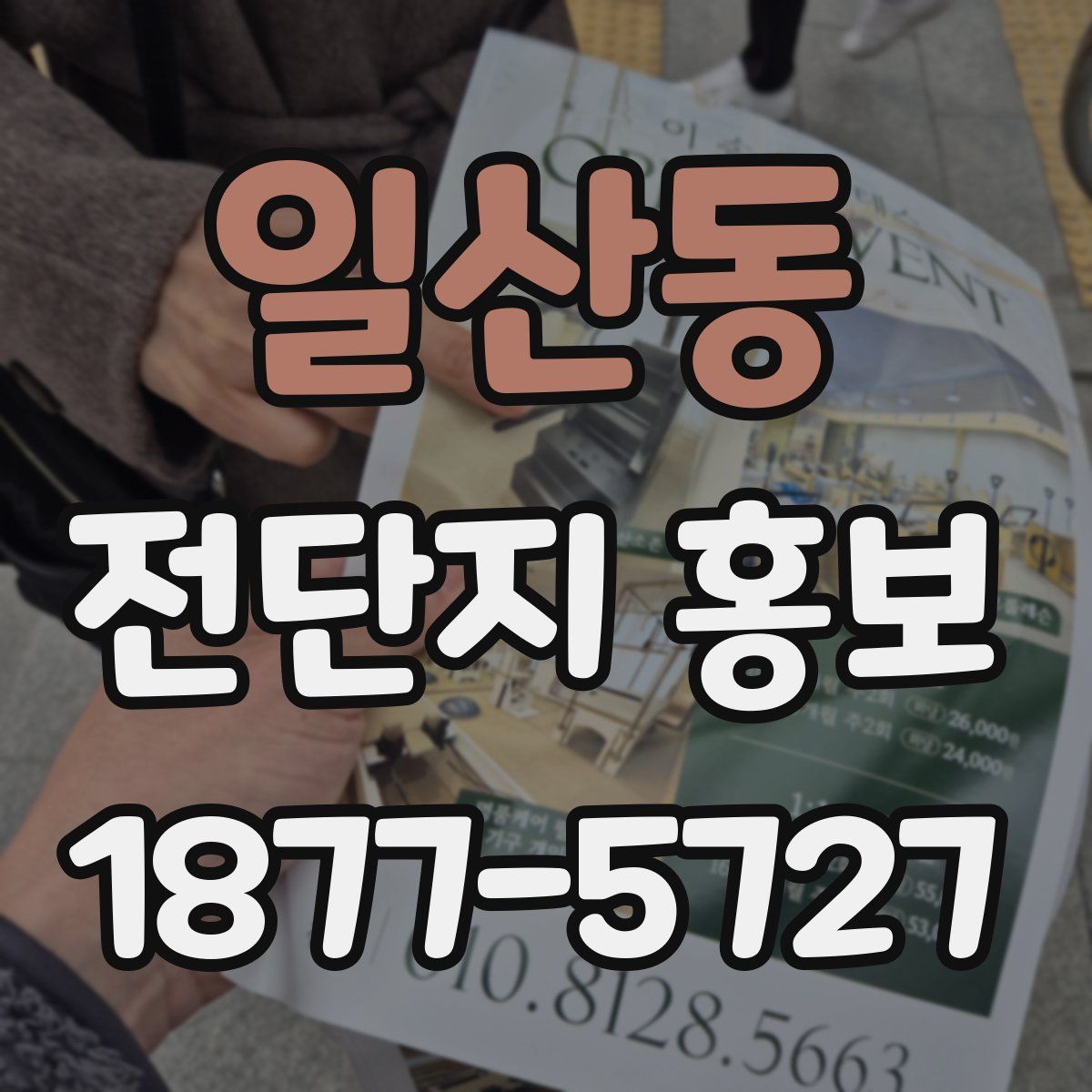 일산동 전단지 홍보