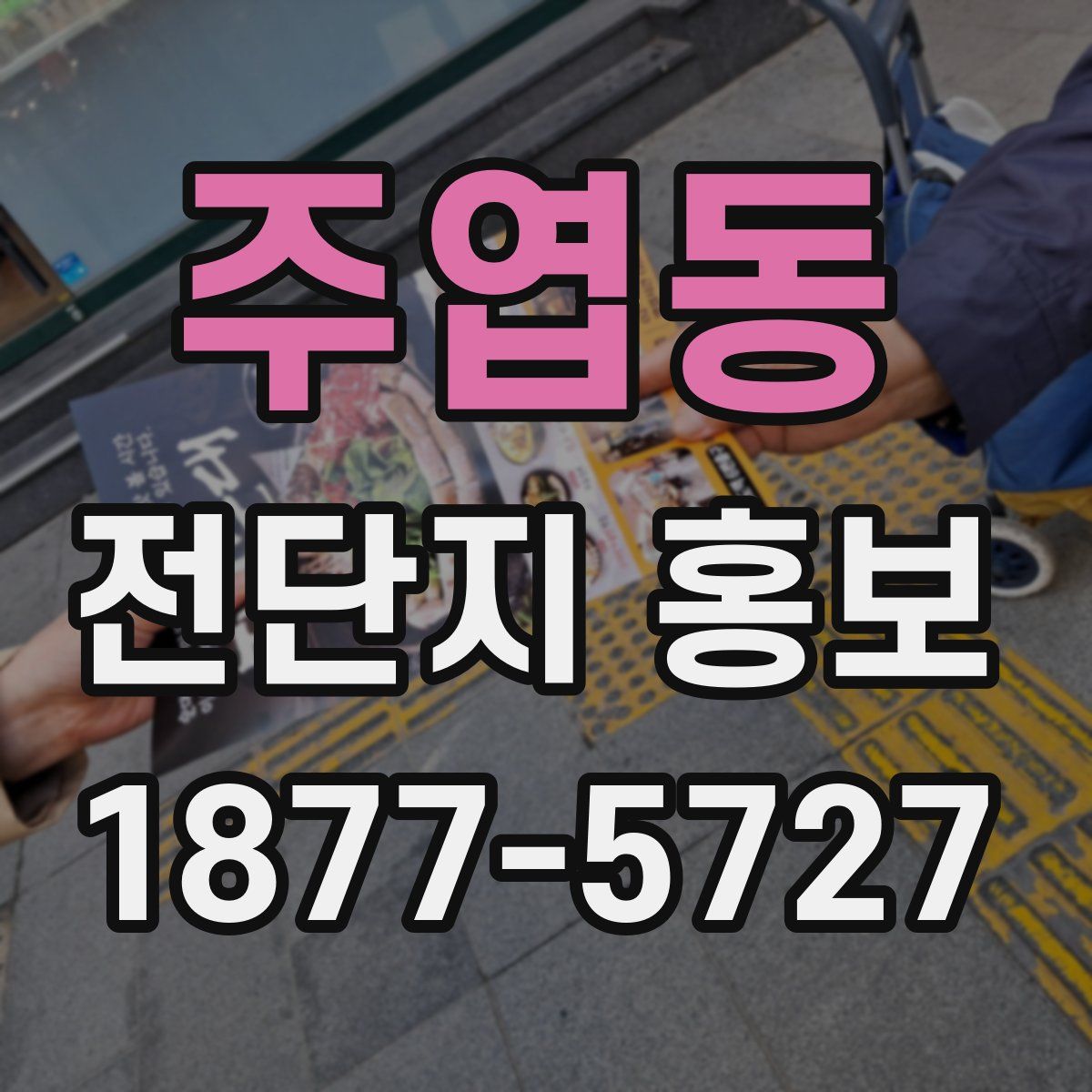 주엽동 전단지 홍보
