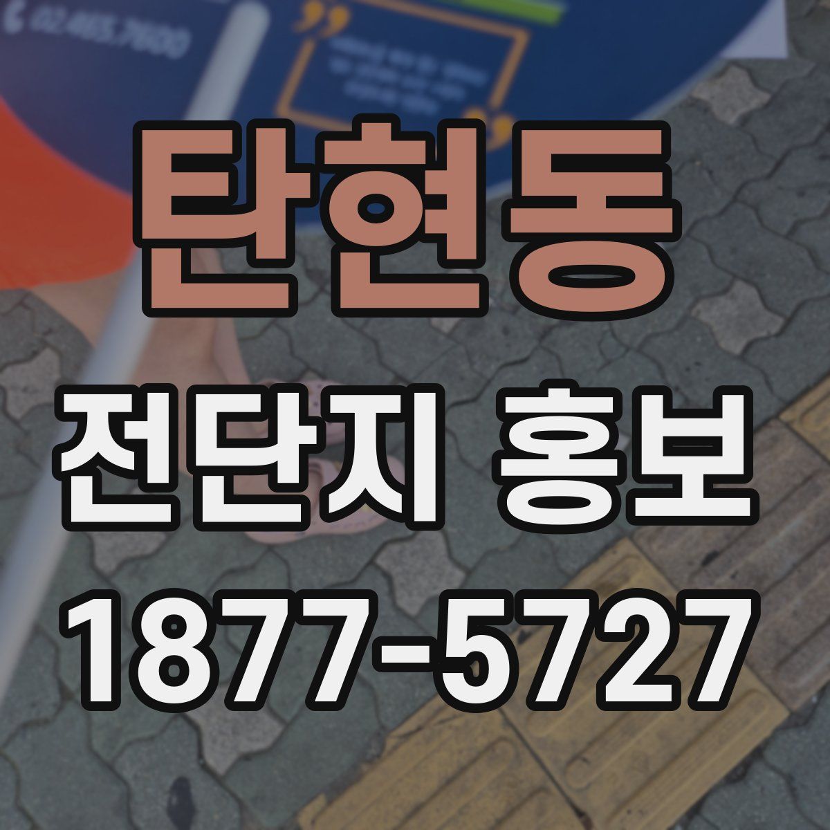 탄현동 전단지 홍보