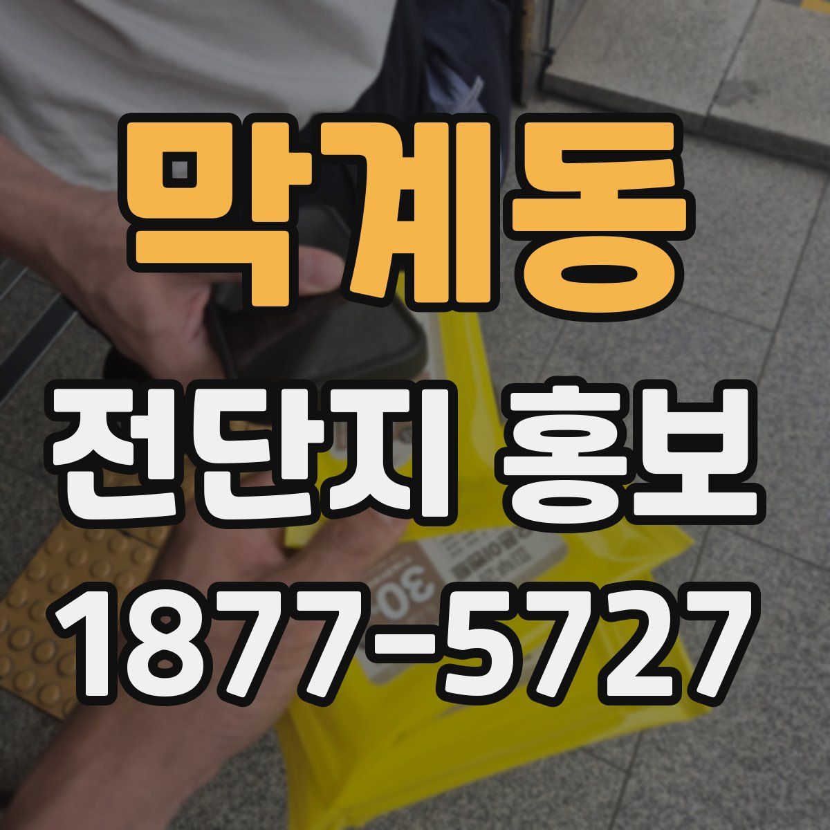 막계동 전단지 홍보