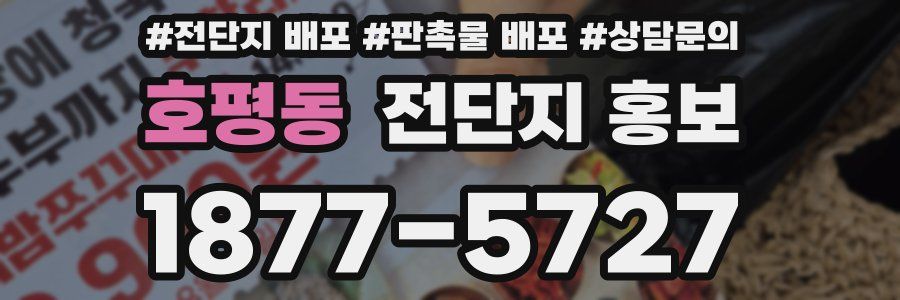 호평동 전단지 홍보