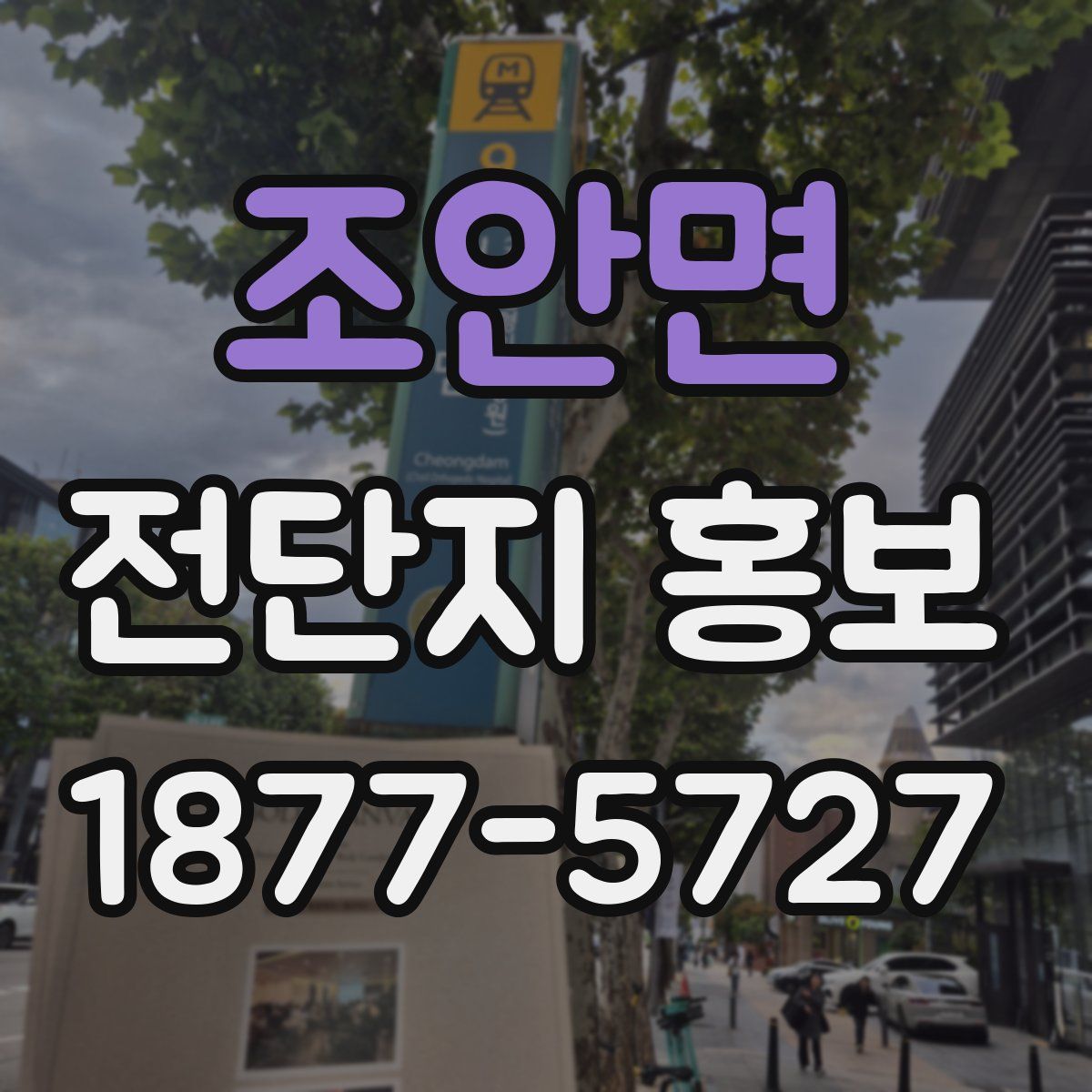 조안면 전단지 홍보