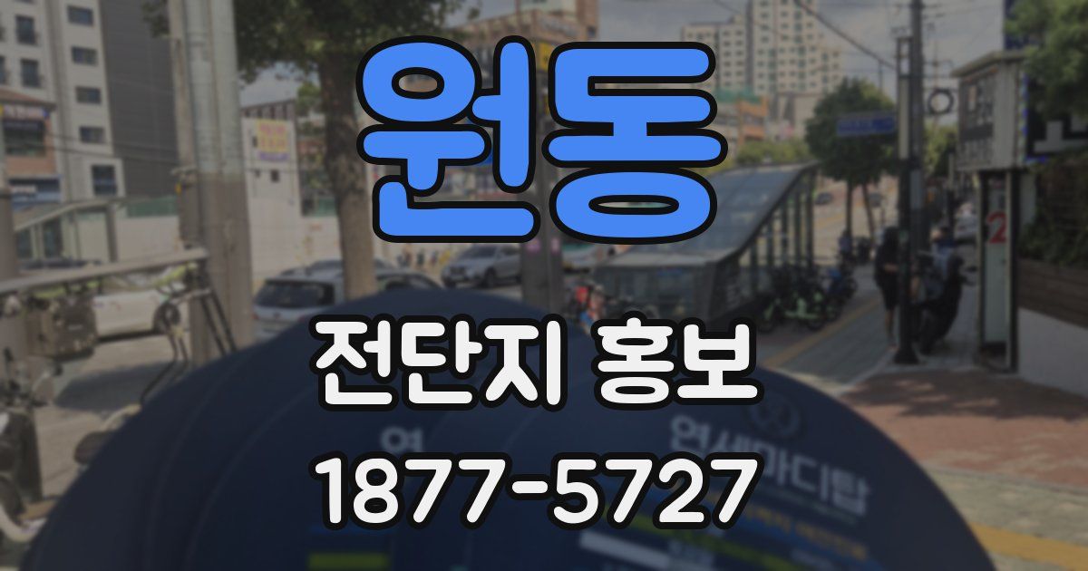 원동 전단지 홍보