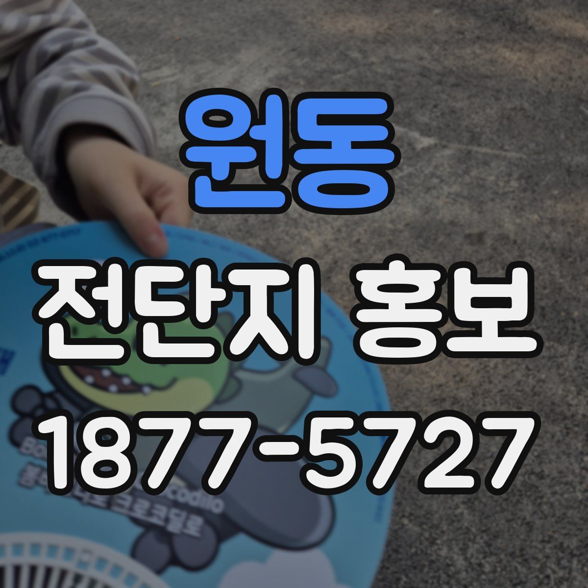 원동 전단지 홍보