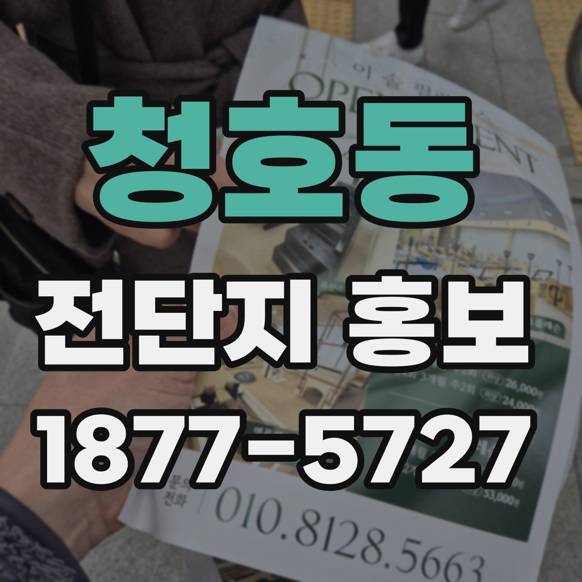 청호동 전단지 홍보