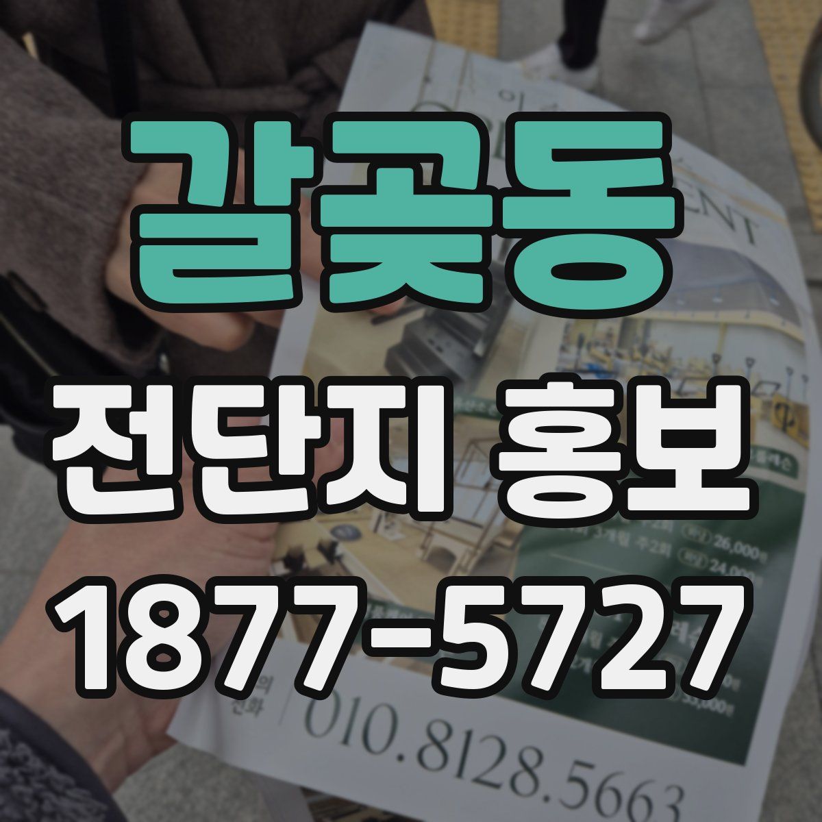 갈곶동 전단지 홍보