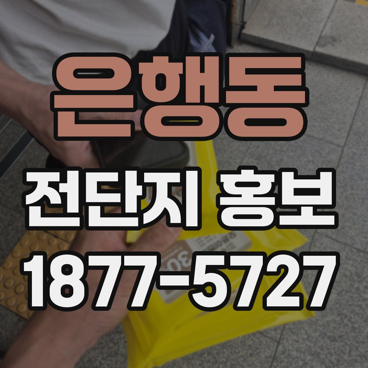 은행동 전단지 홍보