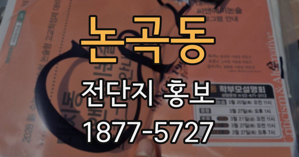 논곡동 전단지 홍보