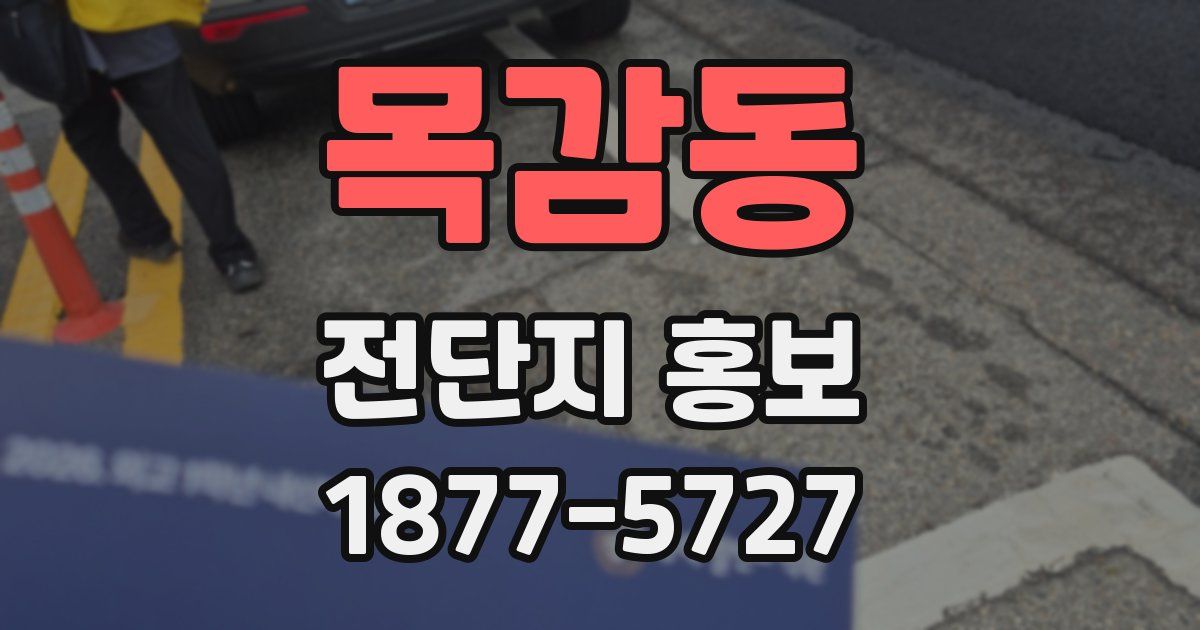 목감동 전단지 홍보
