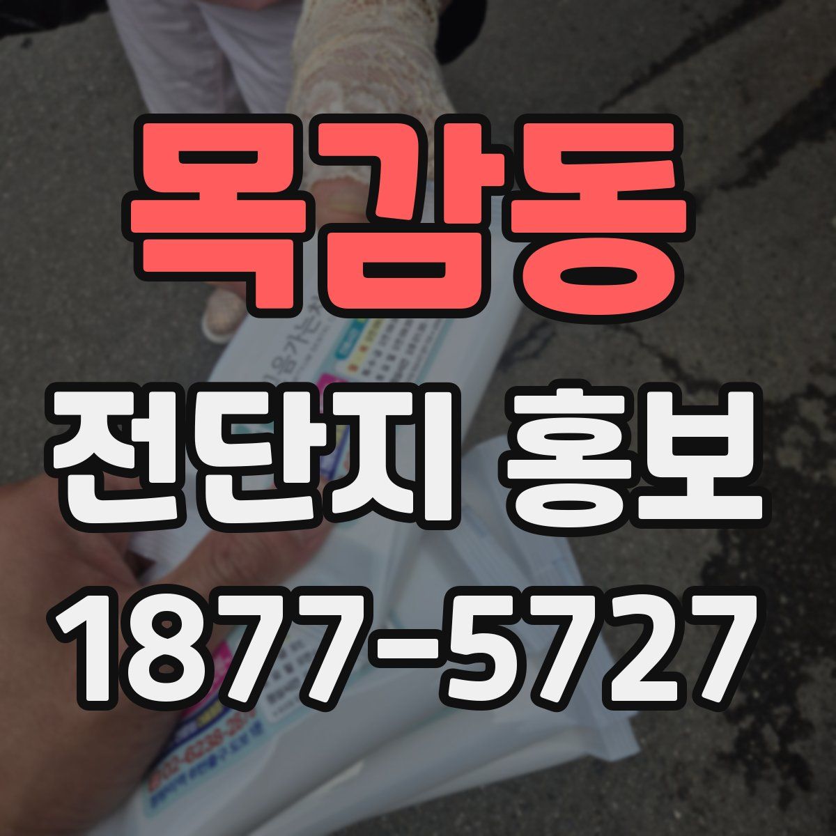 목감동 전단지 홍보
