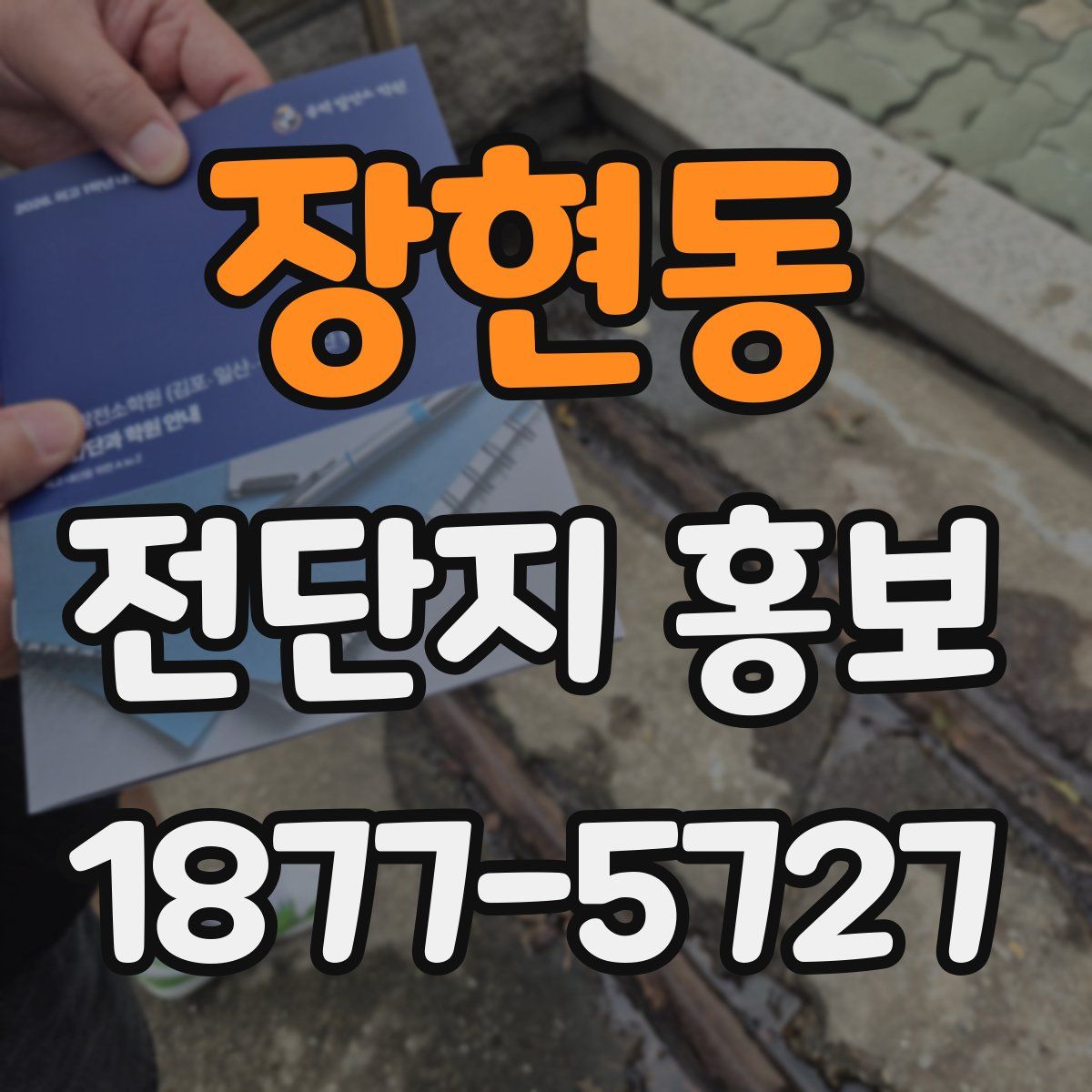 장현동 전단지 홍보