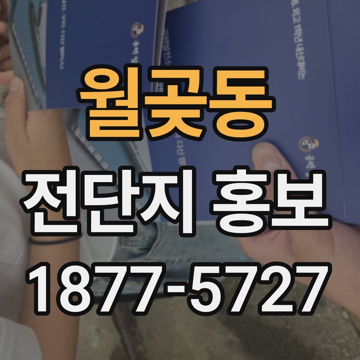 월곶동 전단지 홍보