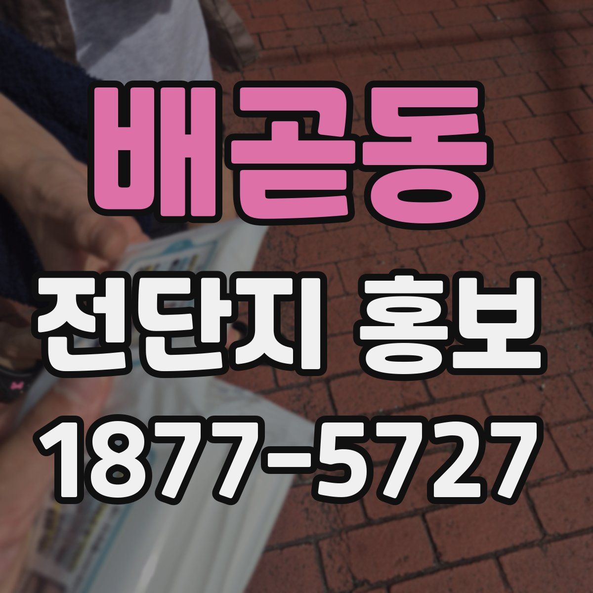 배곧동 전단지 홍보