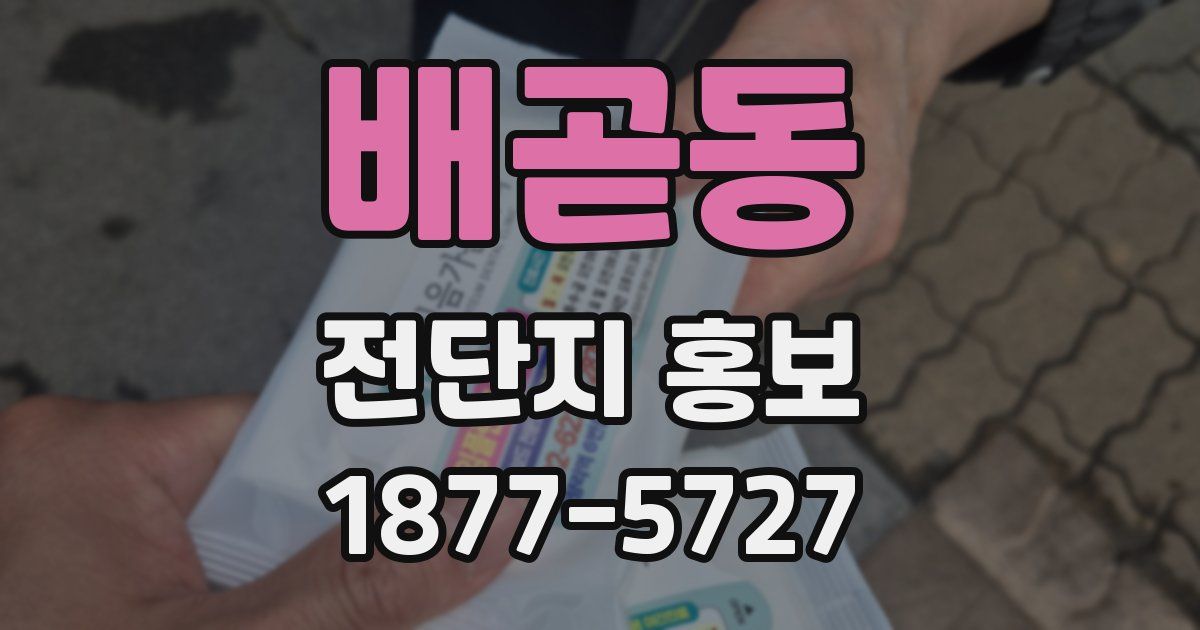 배곧동 전단지 홍보