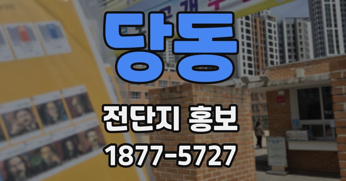 당동 전단지 홍보