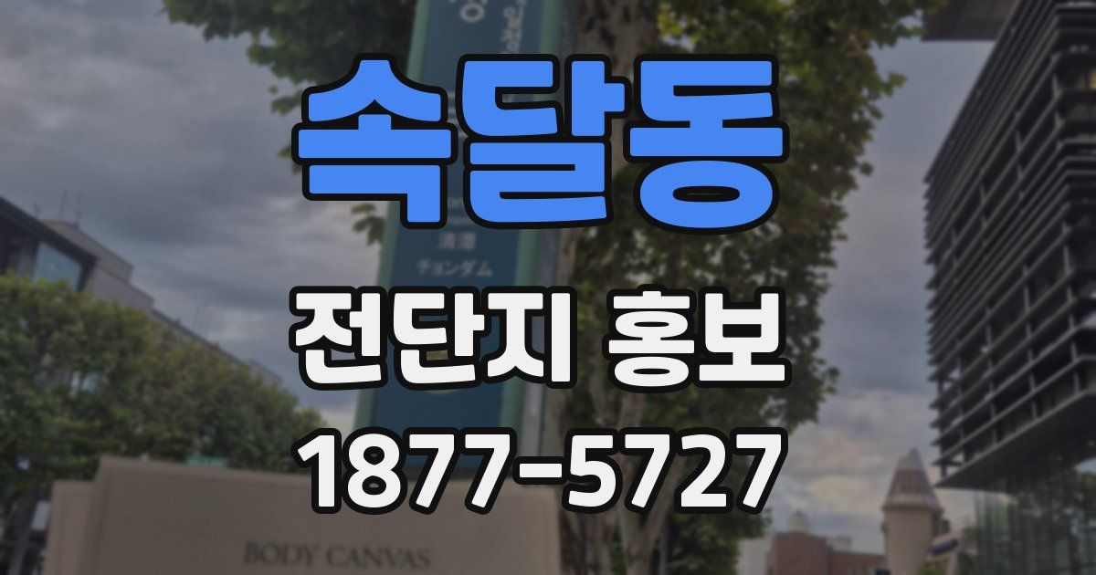속달동 전단지 홍보