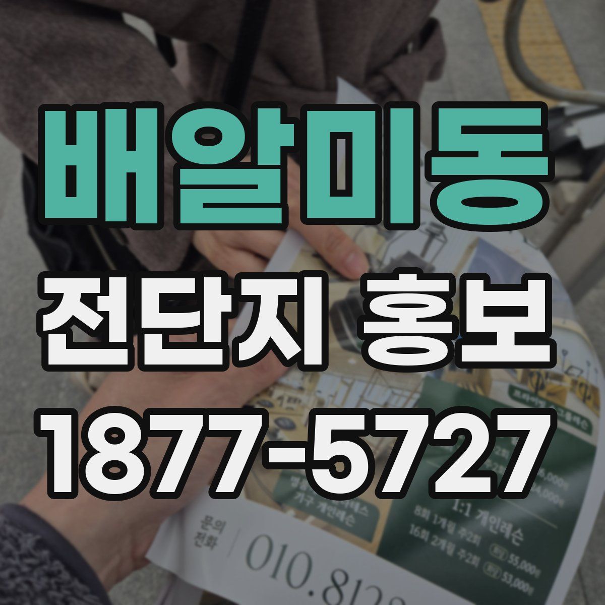 배알미동 전단지 홍보