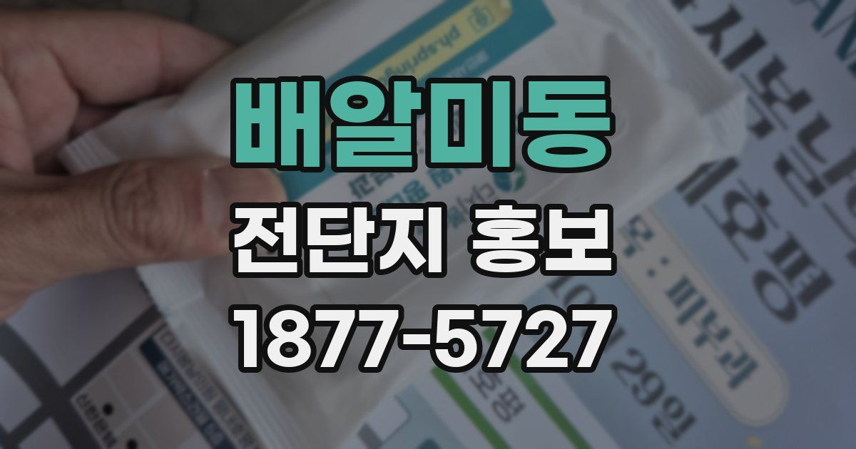 배알미동 전단지 홍보