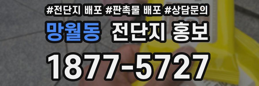 망월동 전단지 홍보