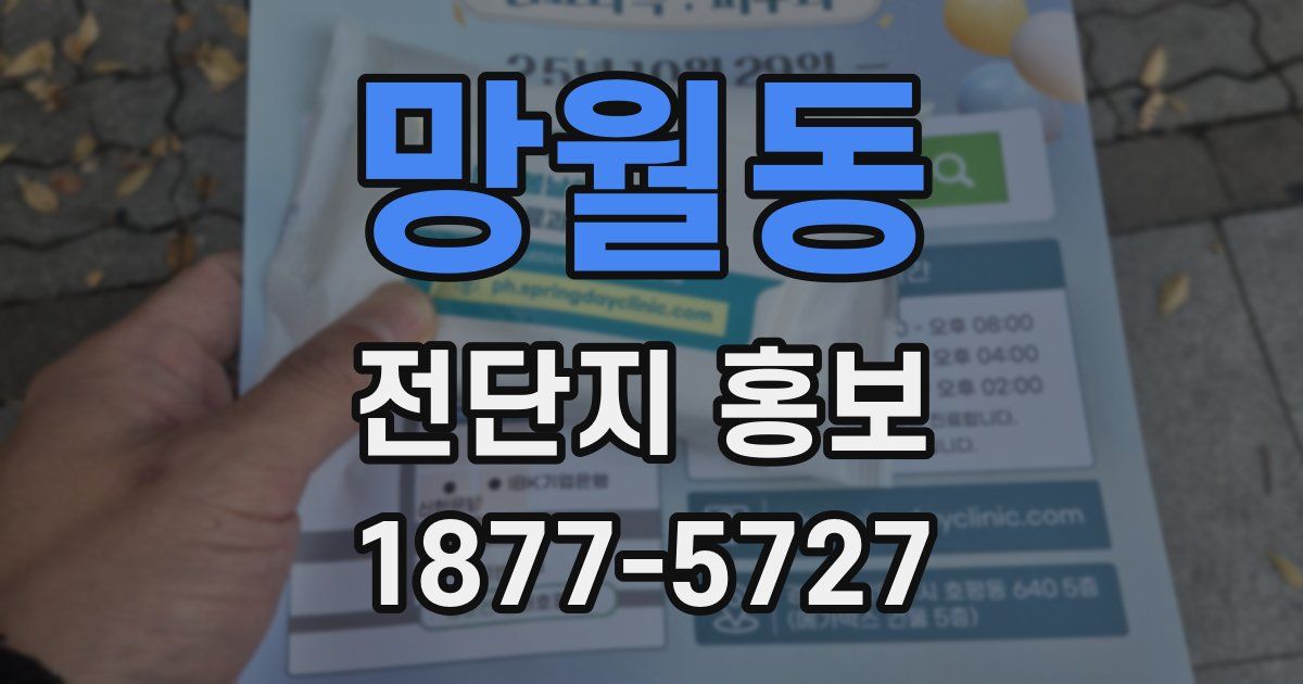 망월동 전단지 홍보