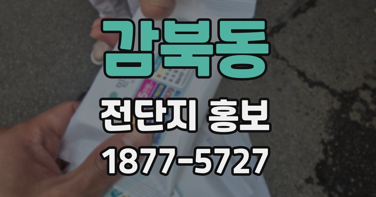 감북동 전단지 홍보
