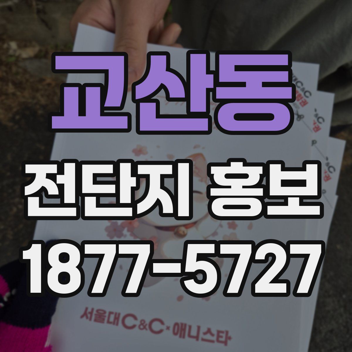 교산동 전단지 홍보