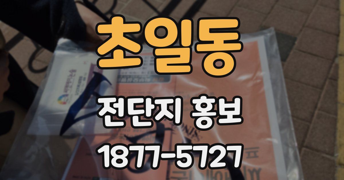 초일동 전단지 홍보