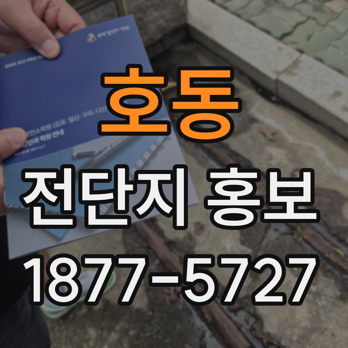 호동 전단지 홍보