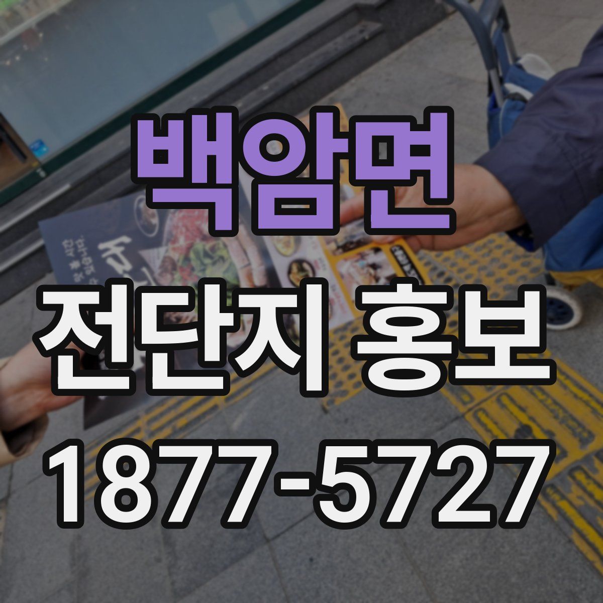 백암면 전단지 홍보