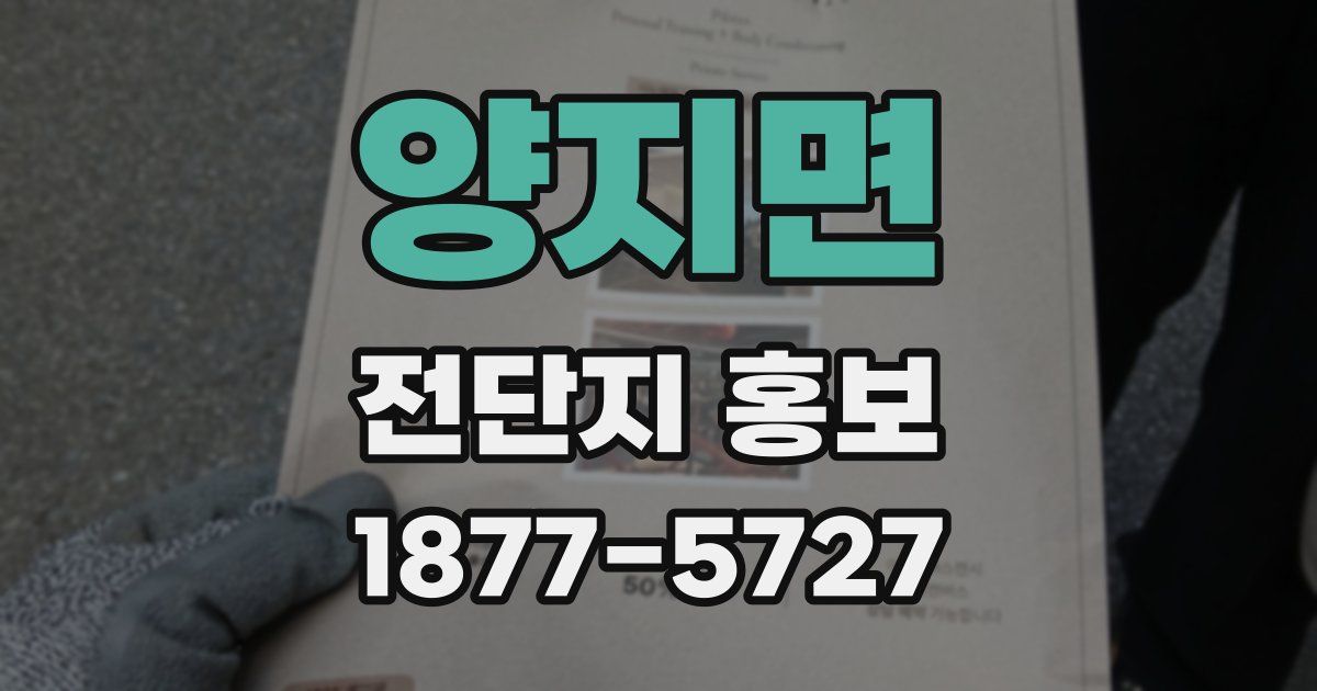 양지면 전단지 홍보