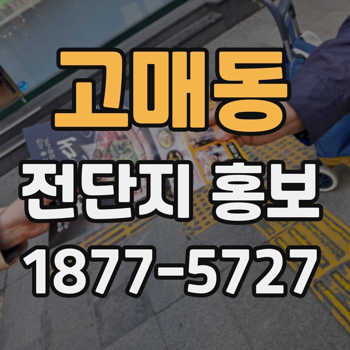 고매동 전단지 홍보