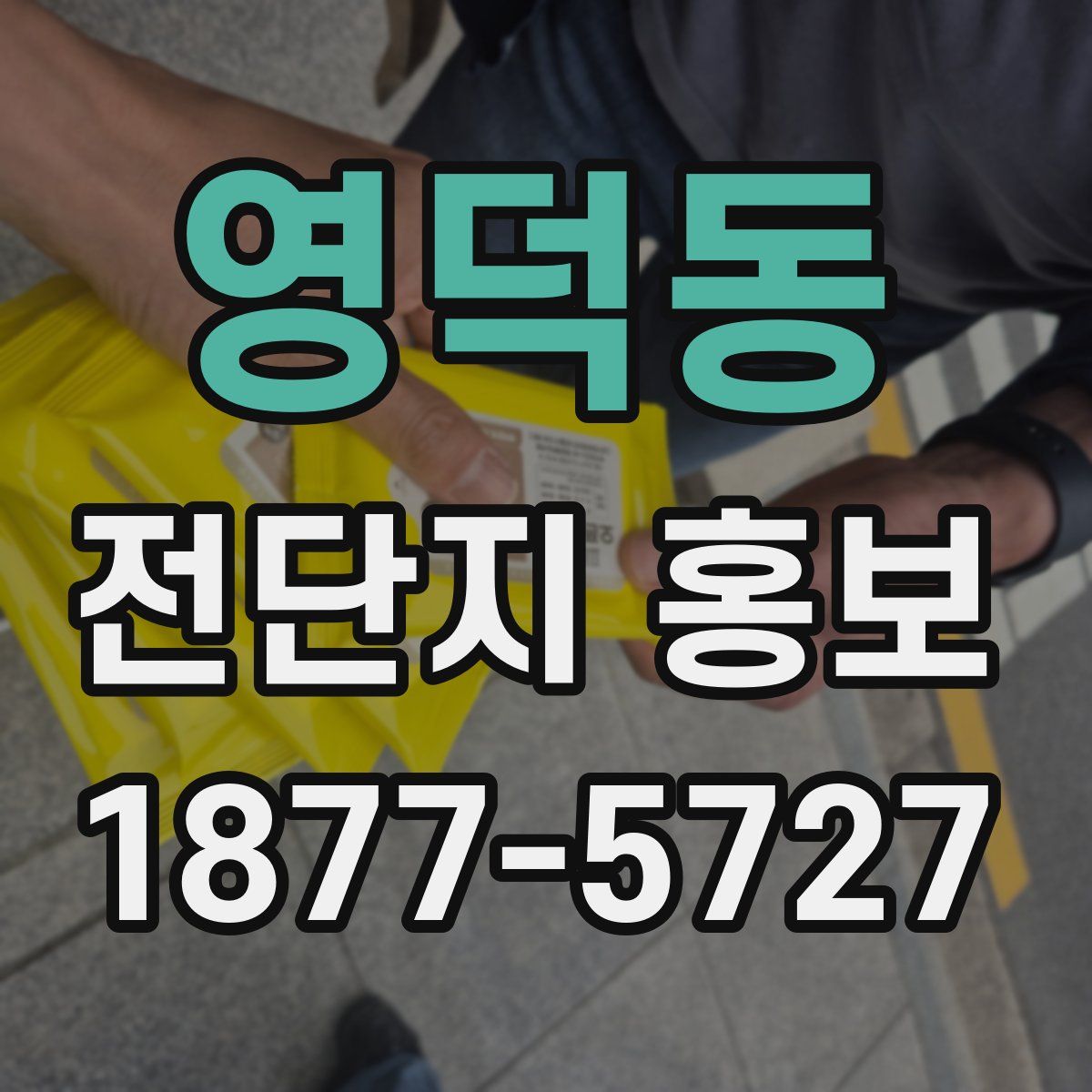 영덕동 전단지 홍보