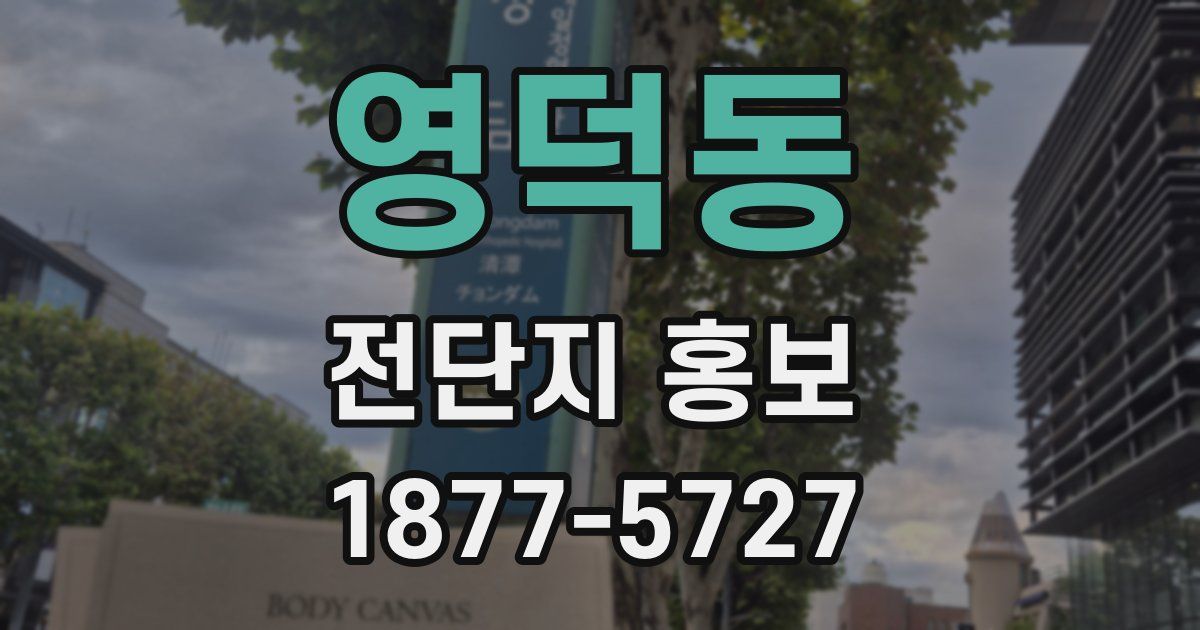 영덕동 전단지 홍보