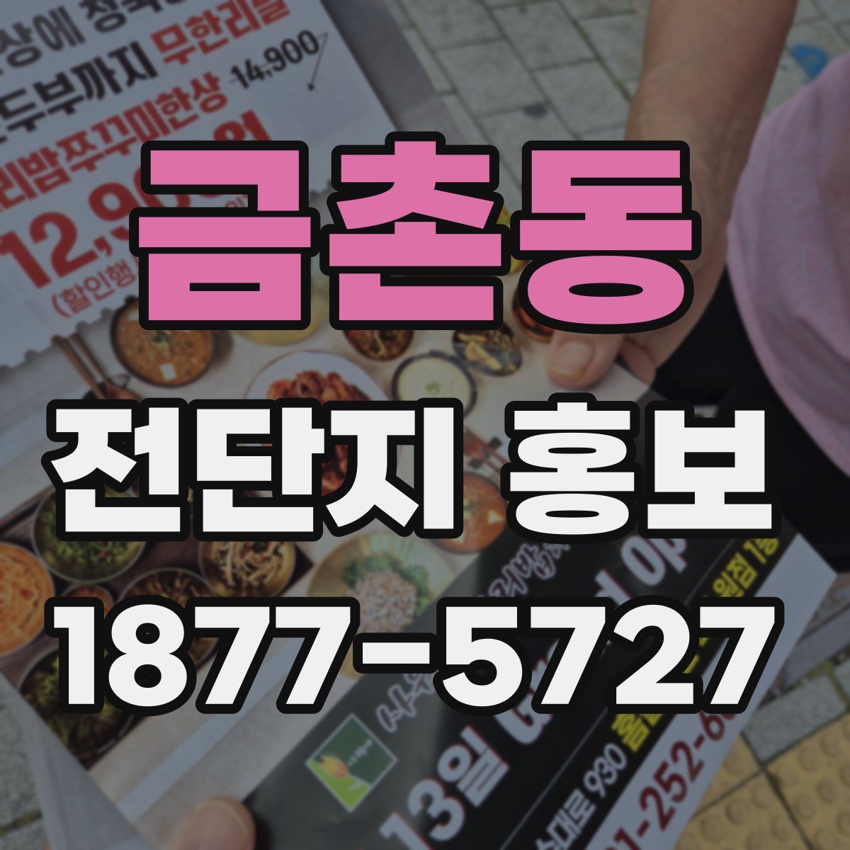 금촌동 전단지 홍보