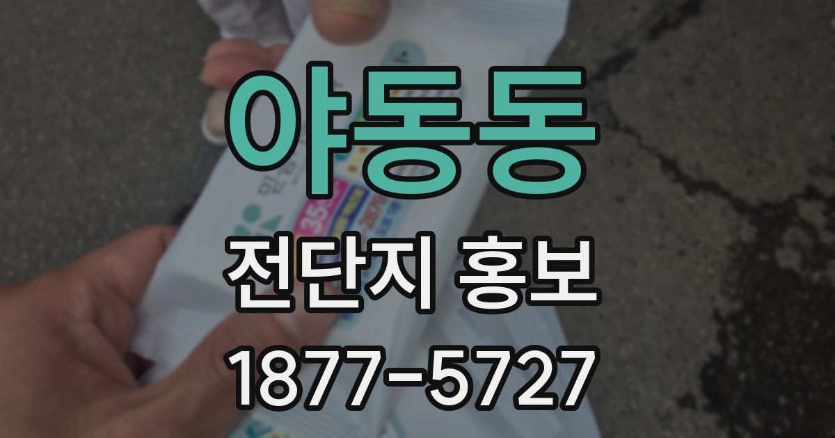 야동동 전단지 홍보