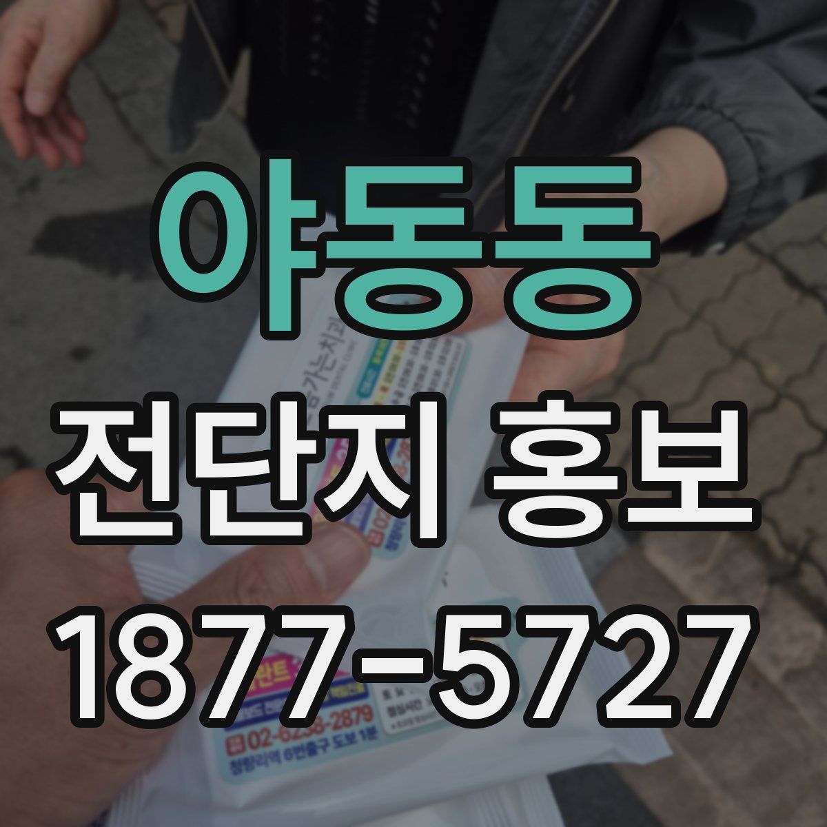 야동동 전단지 홍보