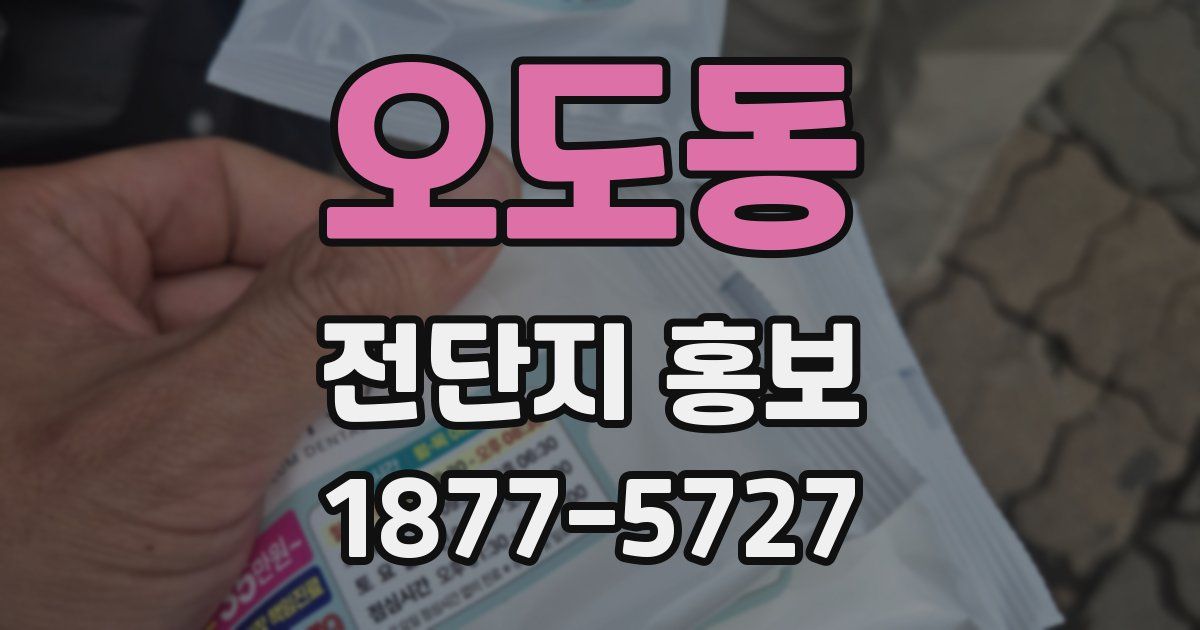 오도동 전단지 홍보