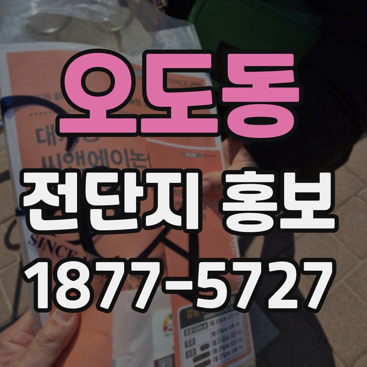 오도동 전단지 홍보