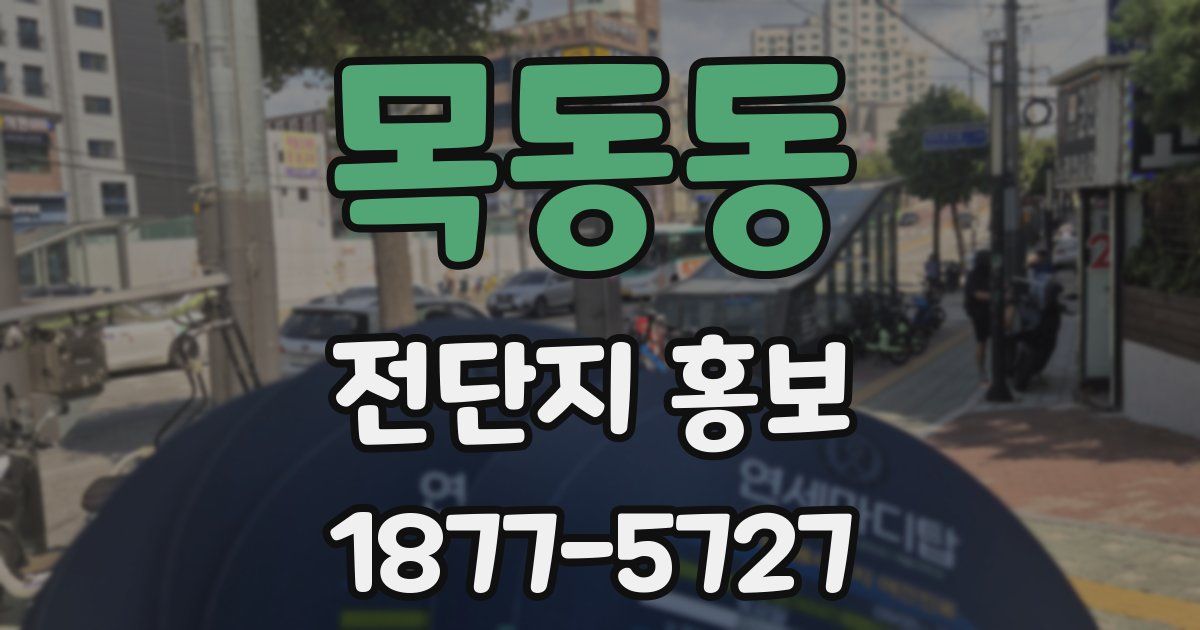 목동동 전단지 홍보