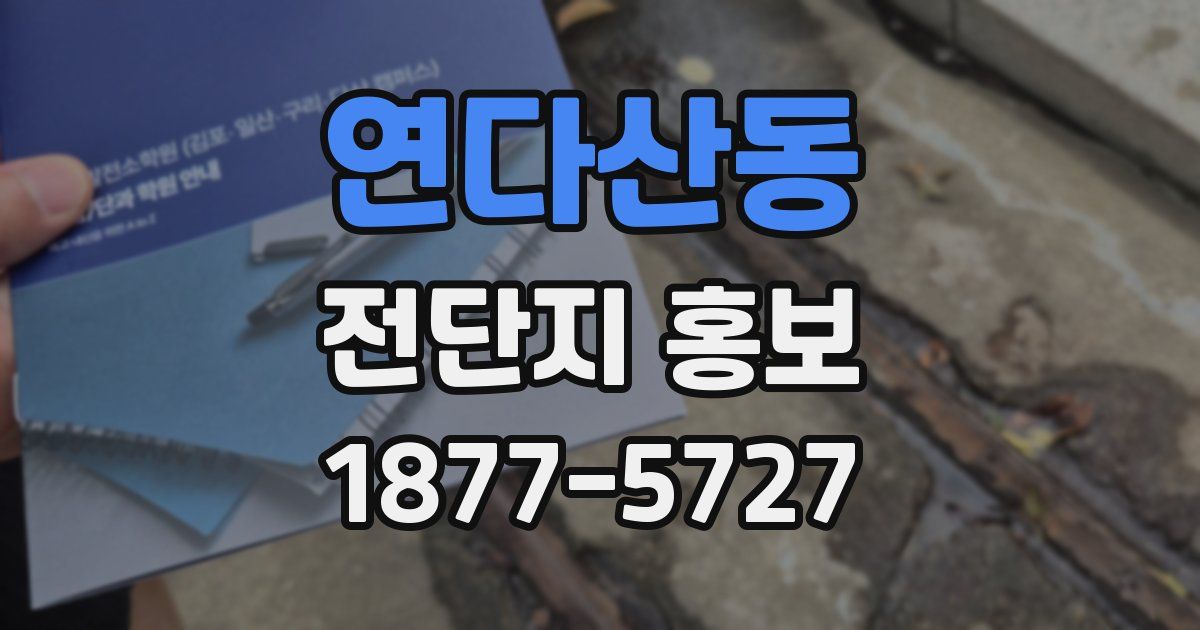 연다산동 전단지 홍보