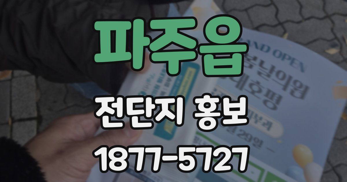 파주읍 전단지 홍보