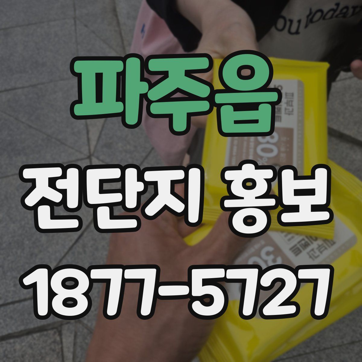 파주읍 전단지 홍보