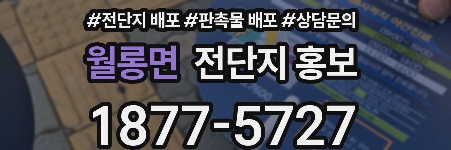 월롱면 전단지 홍보