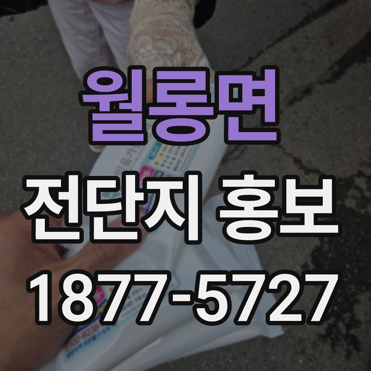 월롱면 전단지 홍보