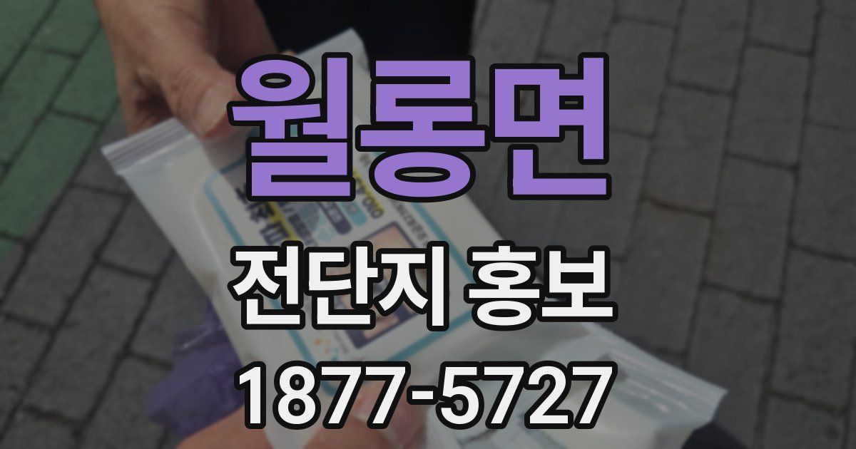 월롱면 전단지 홍보