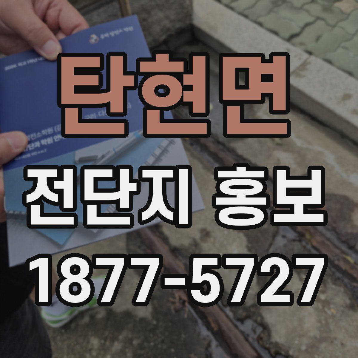 탄현면 전단지 홍보