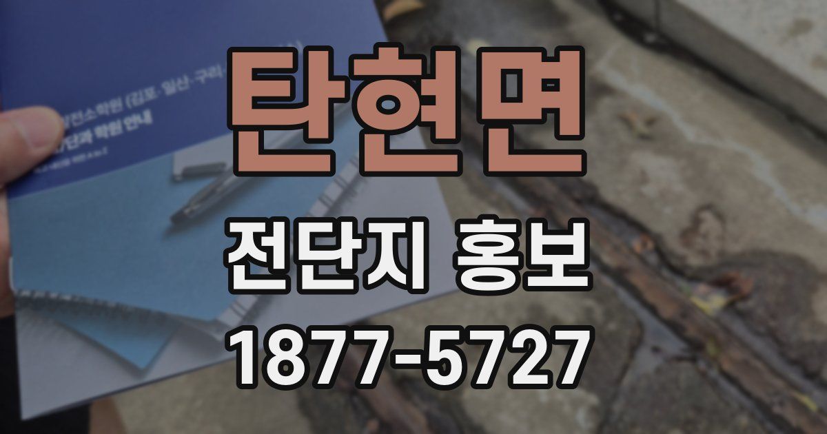 탄현면 전단지 홍보